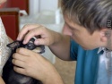 За 2 дня в Ельце прививки от бешенства получили 160 собак и кошек 