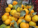 В липецких магазинах нашли гнилые фрукты и забродивший квас