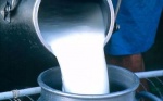 В Липецкой области зафиксировали цены на 4 вида молочной продукции