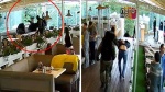 Видео с побоищем в кафе Липецка попало в Сеть