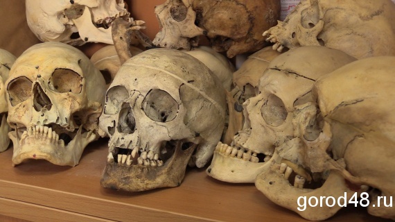 За закрытой дверью: зачем липецким криминалистам целый шкаф настоящих черепов За закрытой дверью: зачем липецким криминалистам целый шкаф настоящих черепов