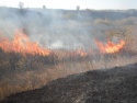 Ельчане жалуются на регулярные пожары на свалке