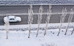 За прошедшие сутки в Липецкой области дважды сбивали пешеходов