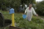 Садоводов призывают беречь воду