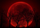 Липчане смогут увидеть самые интересные фазы «кровавой луны»