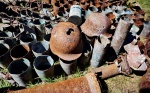 В Липецкой области обнаружен немецкий блиндаж с останками 20 гитлеровцев
