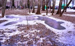 В Липецкой области до +3, мокрый снег