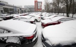 Иностранные компании стали ввозить в Россию меньше автомобилей