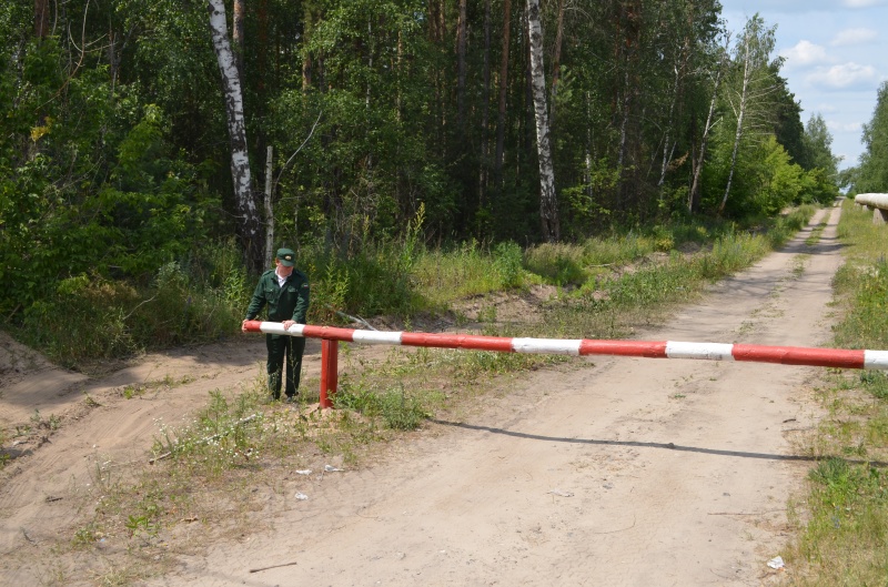  В Липецкой области вновь введено ограничение на посещение лесов