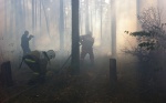 Прокуратура привлекла к ответственности мэрию Липецка за лесные пожары в районе Силикатного