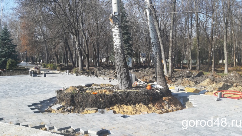 Нижний парк разрыт вдоль и поперек, и света в конце туннеля не видно Нижний парк разрыт вдоль и поперек, и света в конце туннеля не видно