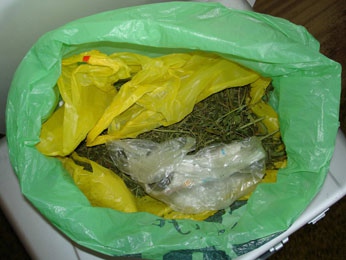 Наркополицейские задержали жителя Воронежа с 1,5 килограмма марихуаны Наркополицейские задержали жителя Воронежа с 1,5 килограмма марихуаны
