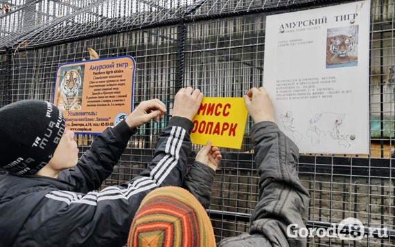 В Липецке стартует конкурс красоты среди животных В Липецке стартует конкурс красоты среди животных