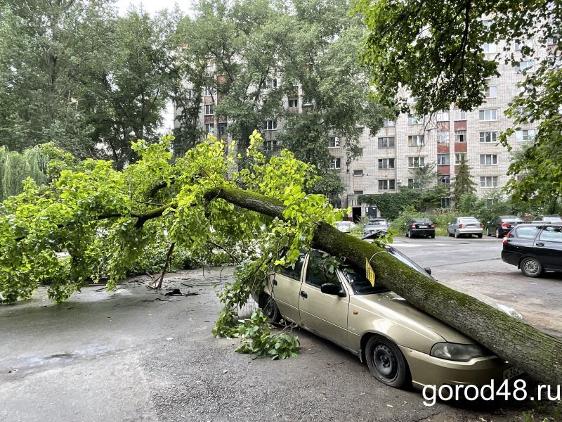 Липецк 48 сегодня. Упавшее дерево. Город 48 дерево упало на машину Липецк. Городские машины.