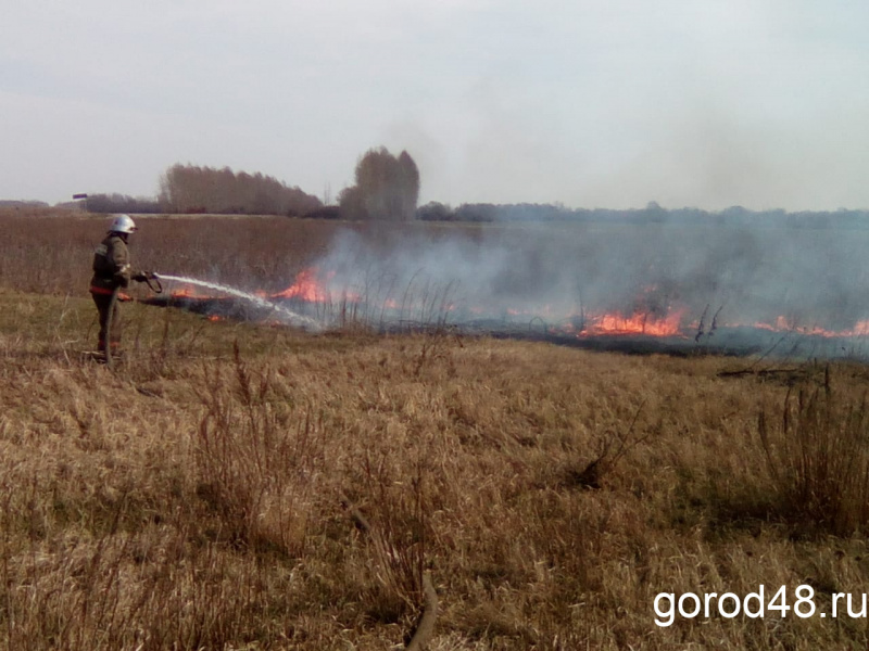За сутки в Липецкой области горели 18 гектаров сухой травы За сутки в Липецкой области горели 18 гектаров сухой травы