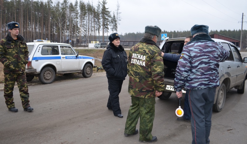 Молодые елки и сосны в Липецкой области берут под усиленную охрану Молодые елки и сосны в Липецкой области берут под усиленную охрану