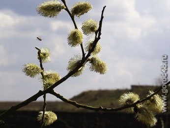 В воскресенье до +13 В воскресенье до +13