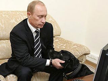 Путин подарил жительнице Липецкой области собаку Путин подарил жительнице Липецкой области собаку