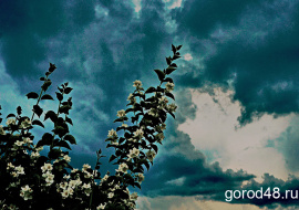 В Липецкой области безветренно и до +34