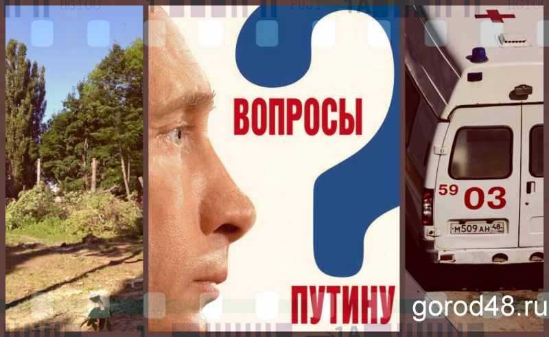 Липецкая вечЁрка: борьба за деревья, розыск преступников и вопросы Путину Липецкая вечЁрка: борьба за деревья, розыск преступников и вопросы Путину