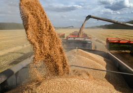Глава ЕС призвал страны выступить «ясным и единым голосом» по зерновой сделке