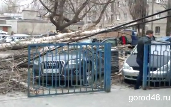 В Липецке ликвидировали последствия ураганного ветра В Липецке ликвидировали последствия ураганного ветра