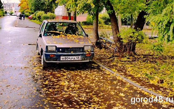 В Липецке тепло, дождливо и туманно В Липецке тепло, дождливо и туманно