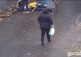 Липецкая вечЁрка: падение дерева привело к уголовному делу, автобусная пробка и строительство яхт-кл...