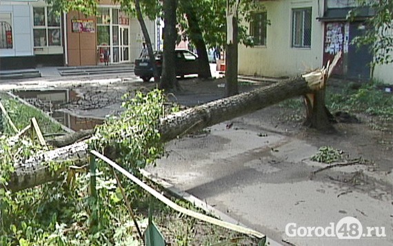 В Липецке во время урагана погиб один человек В Липецке во время урагана погиб один человек