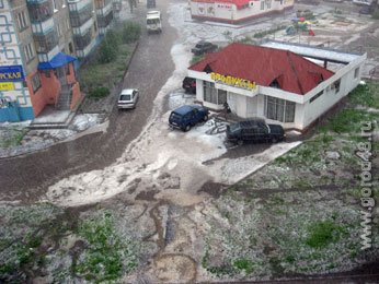 Насаждениям Липецка нанесен ущерб в полмиллиона рублей Насаждениям Липецка нанесен ущерб в полмиллиона рублей