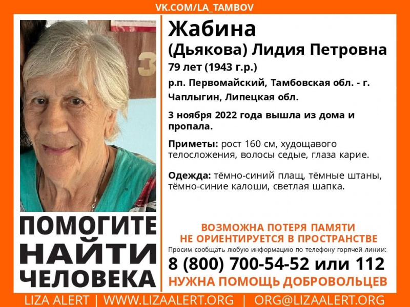 Пропавшую на Тамбовщине пенсионерку волонтеры ищут в Чаплыгине