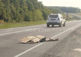 21-летний ельчанин погиб под колесами неизвестного автомобиля на трассе Орел-Тамбов