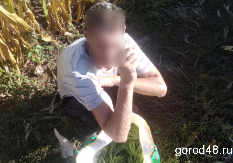 49-летнего мужчину задержали с мешком конопли 49-летнего мужчину задержали с мешком конопли