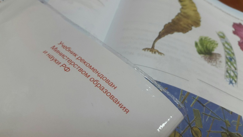 Губернатор Краснодарского края жестко ответил властям Украины Губернатор Краснодарского края жестко ответил властям Украины