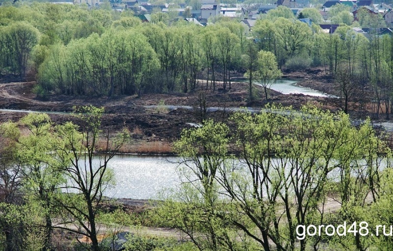 В Липецкой области ночные заморозки В Липецкой области ночные заморозки