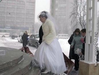 В День Святого Валентина в Липецке сыграют 55 свадеб В День Святого Валентина в Липецке сыграют 55 свадеб