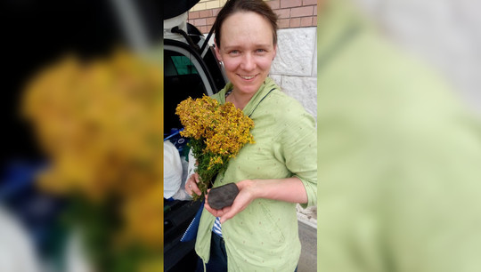 Ученые из Екатеринбурга нашли пятый осколок метеорита в Липецкой области Ученые из Екатеринбурга нашли пятый осколок метеорита в Липецкой области