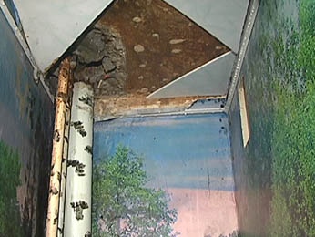 Лучшая многодетная семья Липецка полгода не может добиться ремонта труб Лучшая многодетная семья Липецка полгода не может добиться ремонта труб