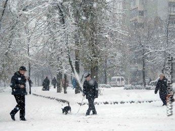 В Липецкой области за один день от спиртного и мороза погибли 6 человек В Липецкой области за один день от спиртного и мороза погибли 6 человек