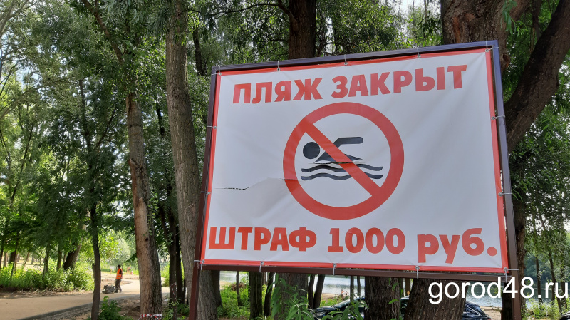 У шести нянек - дитя без глаза! У шести нянек - дитя без глаза!