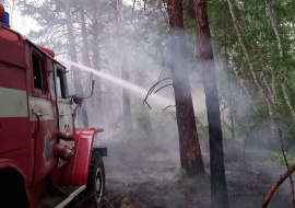 В Казахстане 14 человек погибли из-за лесного пожара на востоке страны