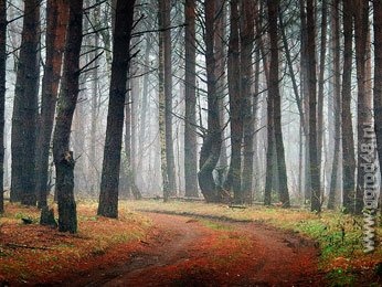 Штраф за кабана Штраф за кабана
