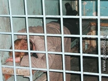 Сотрудник медвытрезвителя получил два года колонии Сотрудник медвытрезвителя получил два года колонии