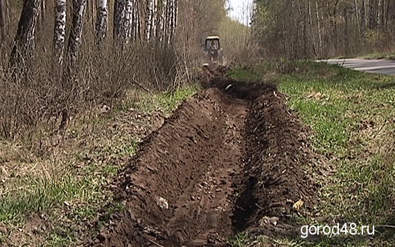 Прокуроры проверяют противопожарную обстановку в лесах Прокуроры проверяют противопожарную обстановку в лесах