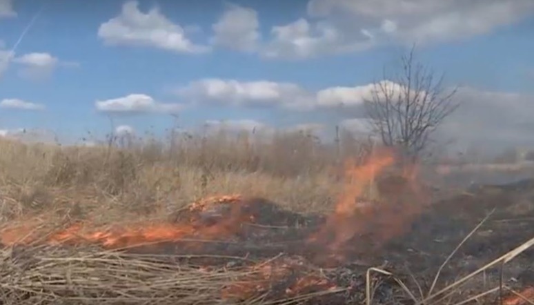 пожар в ветреную погоду