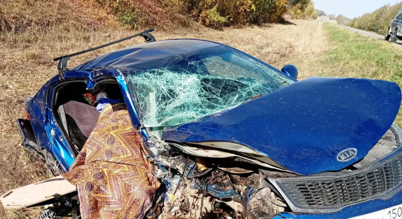 Пять человек погибли на дорогах области за три дня Пять человек погибли на дорогах области за три дня