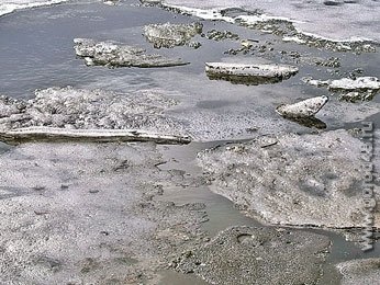 На виновников загрязнения реки Дон составлено ещё 3 протокола На виновников загрязнения реки Дон составлено ещё 3 протокола