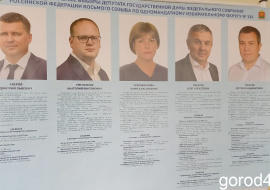 На довыборах депутата Госдумы проголосовали более семи процентов избирателей