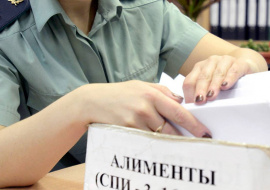 В РФ может появиться реестр злостных должников по алиментам
