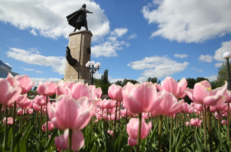 В Липецке высажены около 60 тысяч тюльпанов